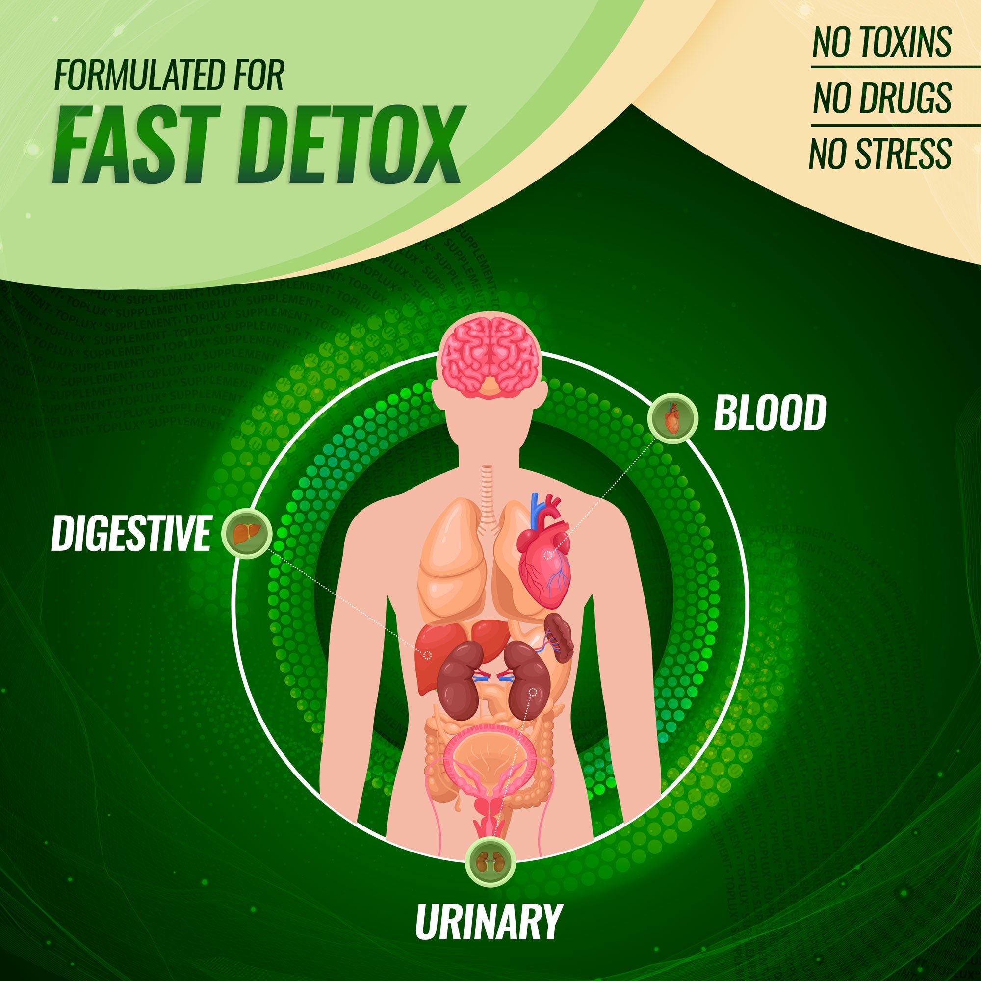 Liver Detox & Cleanse